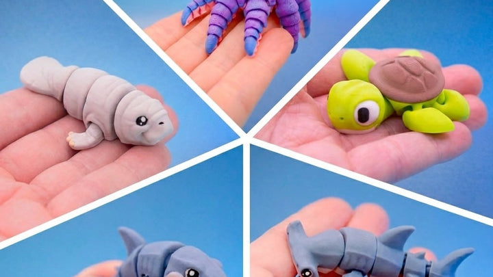 Dive In: Meet the Wiggly Stuff Aquatic Crew
