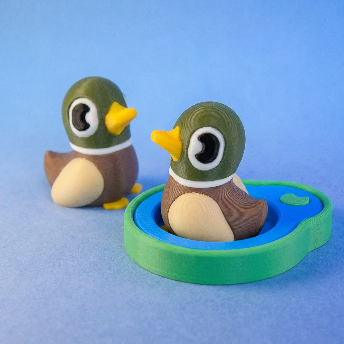 Quacky Jack the mallard duck Birb in his tiny pond