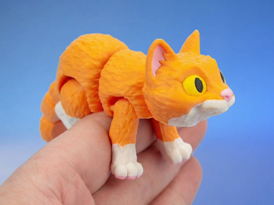 Cats & Pets