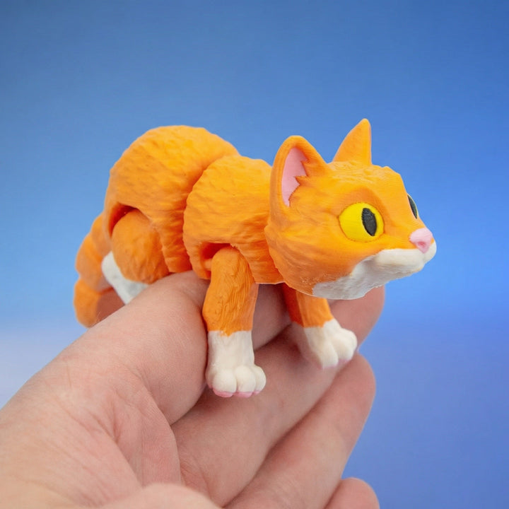 Cats & Pets
