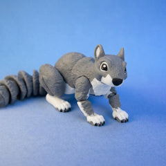 Acorn the Squirrel