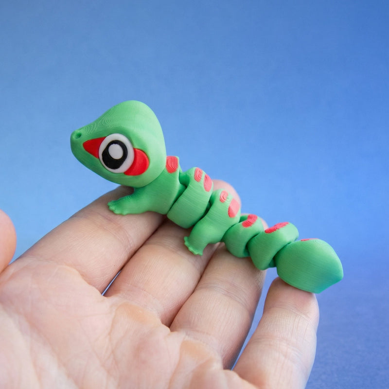 Ash the Madagascar Gecko