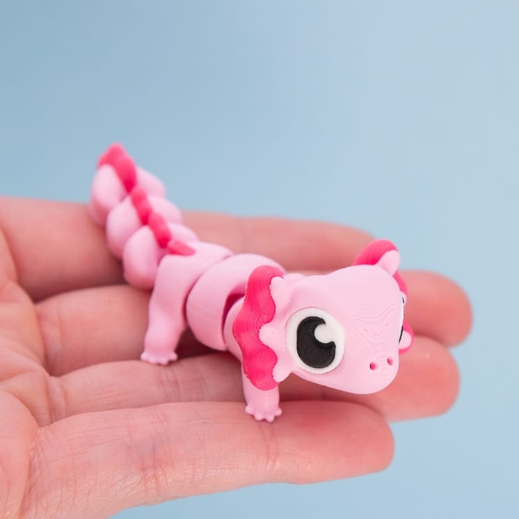Axel the Axolotl