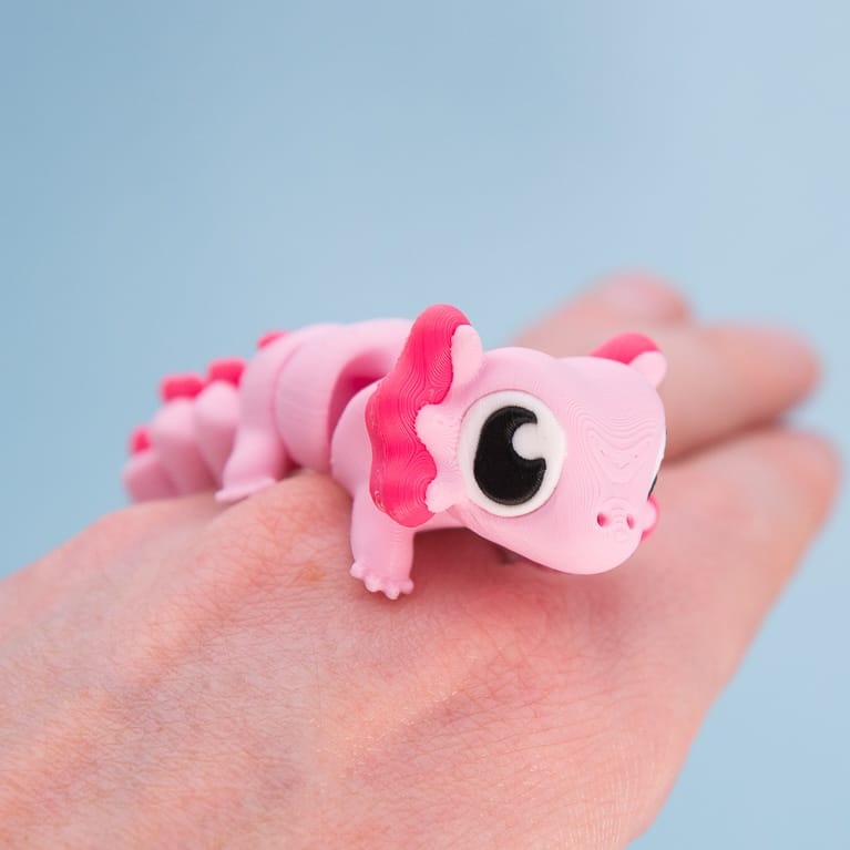 Axel the Axolotl
