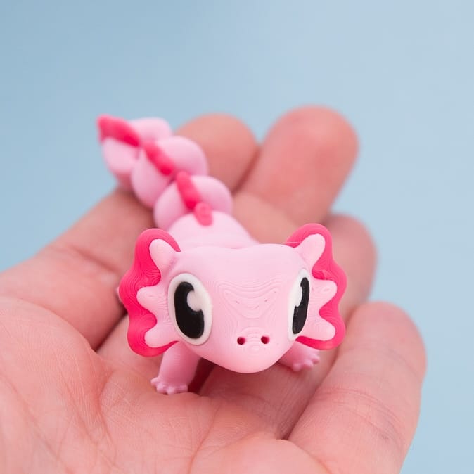 Axel the Axolotl