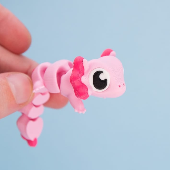 Axel the Axolotl