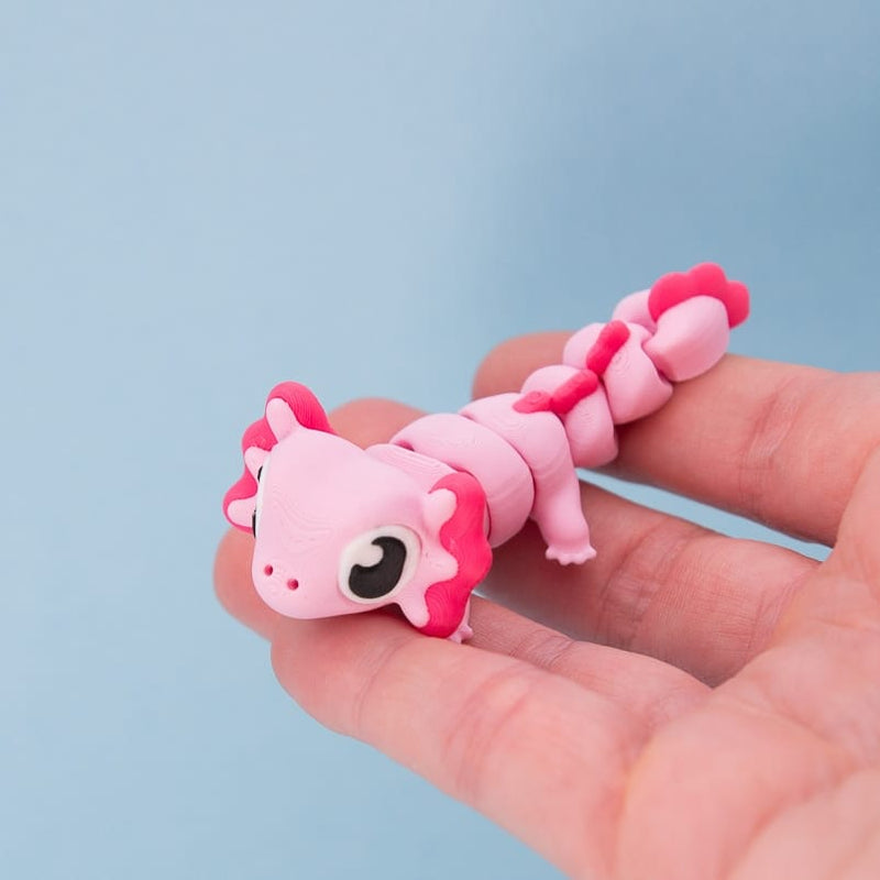 Axel the Axolotl