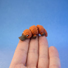 Bilby the Platypus