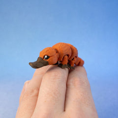 Bilby the Platypus