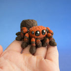 Bitsy the Burrow Spider