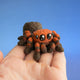 Bitsy the Burrow Spider