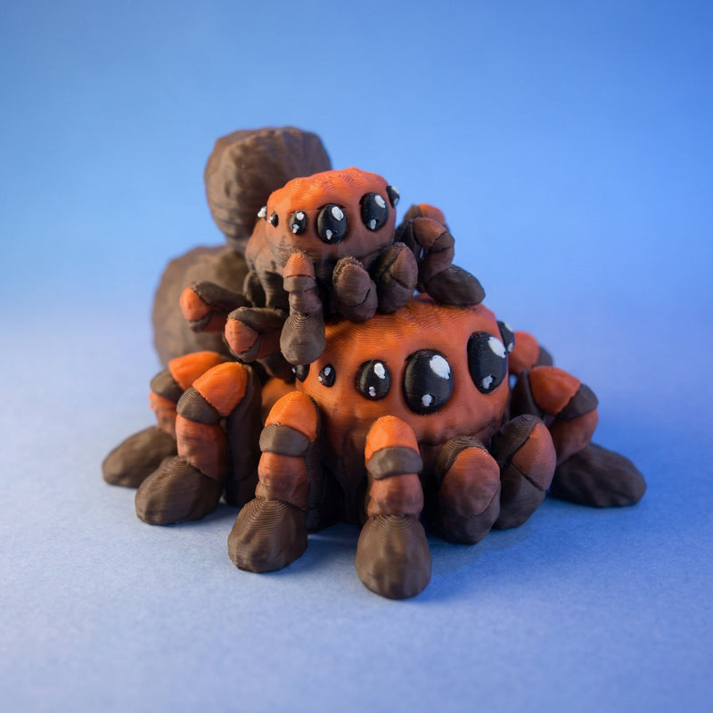 Bitsy the Burrow Spider