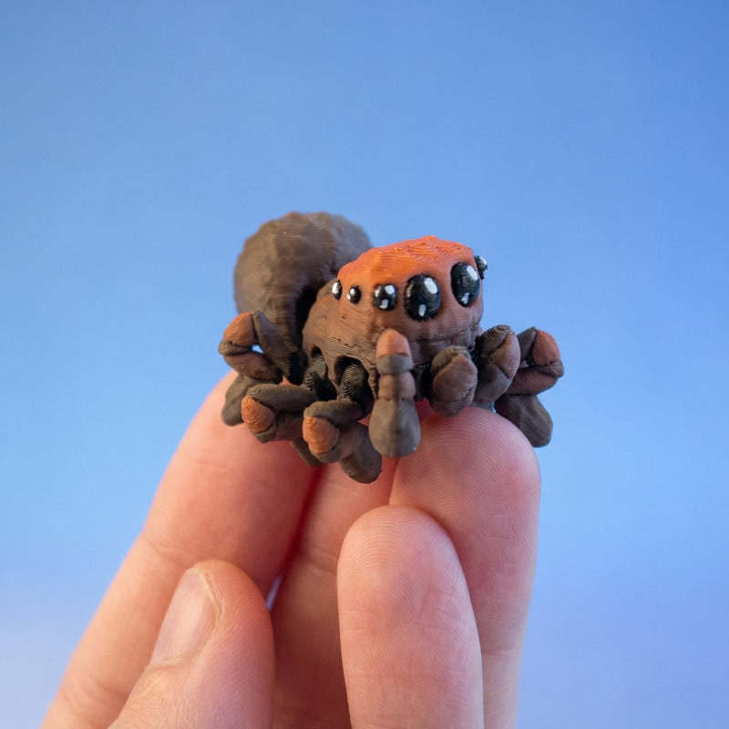 Bitsy the Burrow Spider