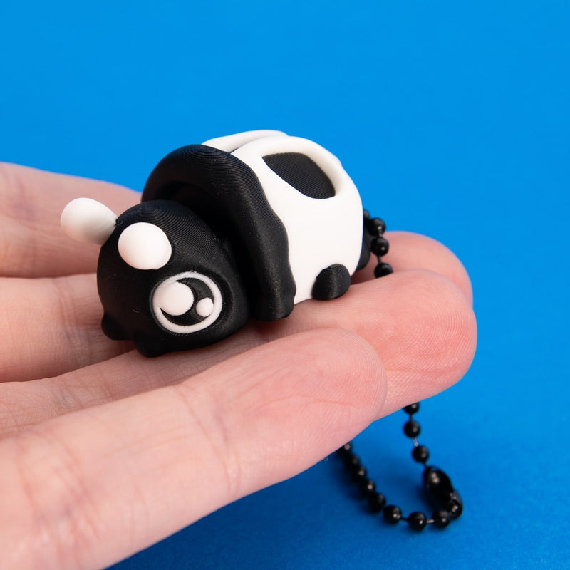 Bonesy the Skull Beetle