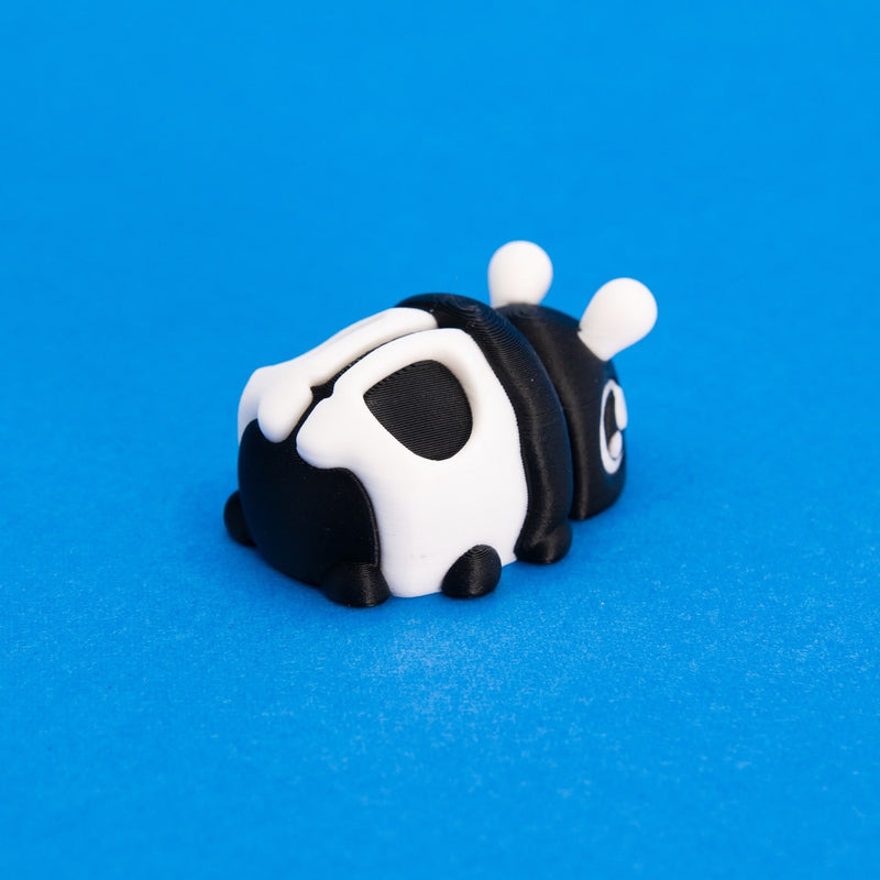 Bonesy the Skull Beetle