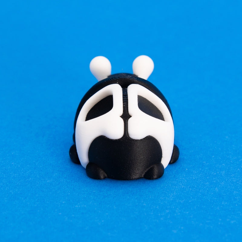 Bonesy the Skull Beetle