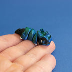 Bunkle the Micro Beetle Drakeling