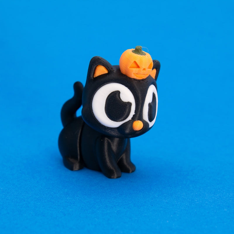 Cinder the Pumpkin Cat