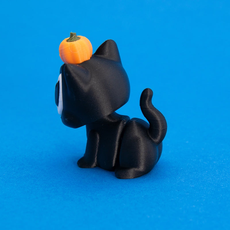 Cinder the Pumpkin Cat