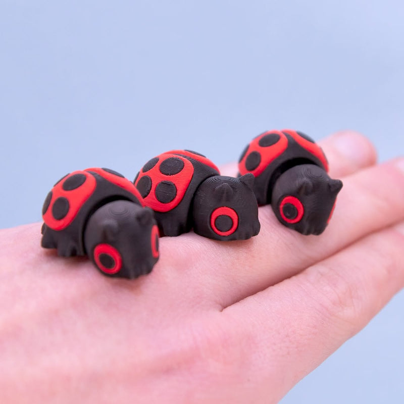 Clover the Ladybug