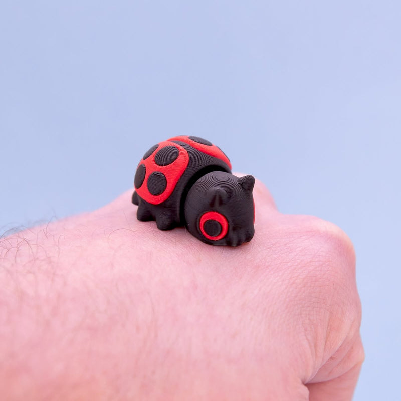 Clover the Ladybug