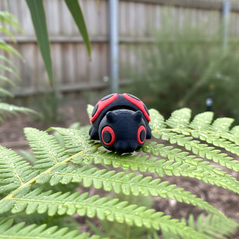 Clover the Ladybug