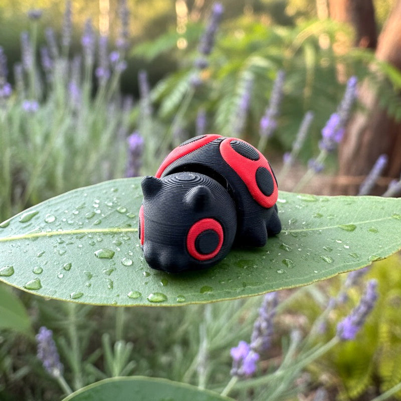 Clover the Ladybug