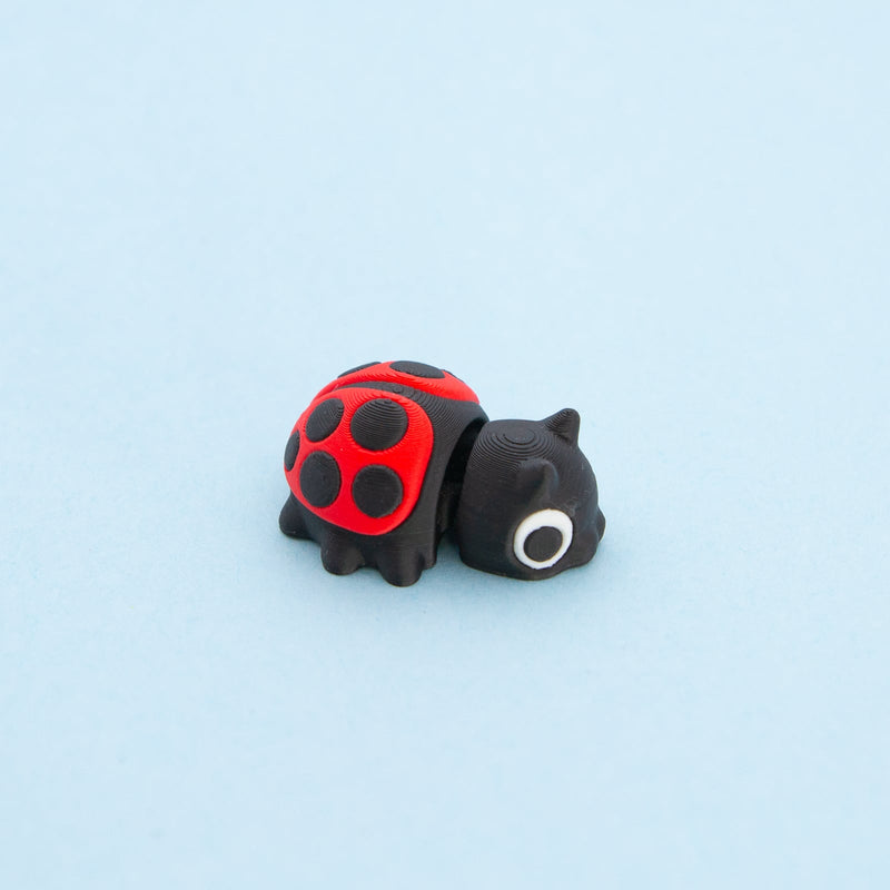 Clover the Ladybug