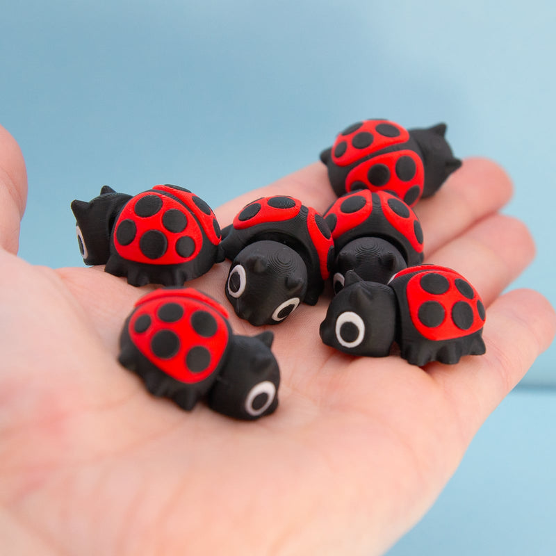 Clover the Ladybug