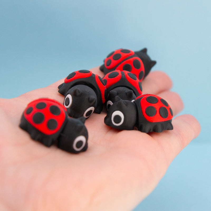 Clover the Ladybug