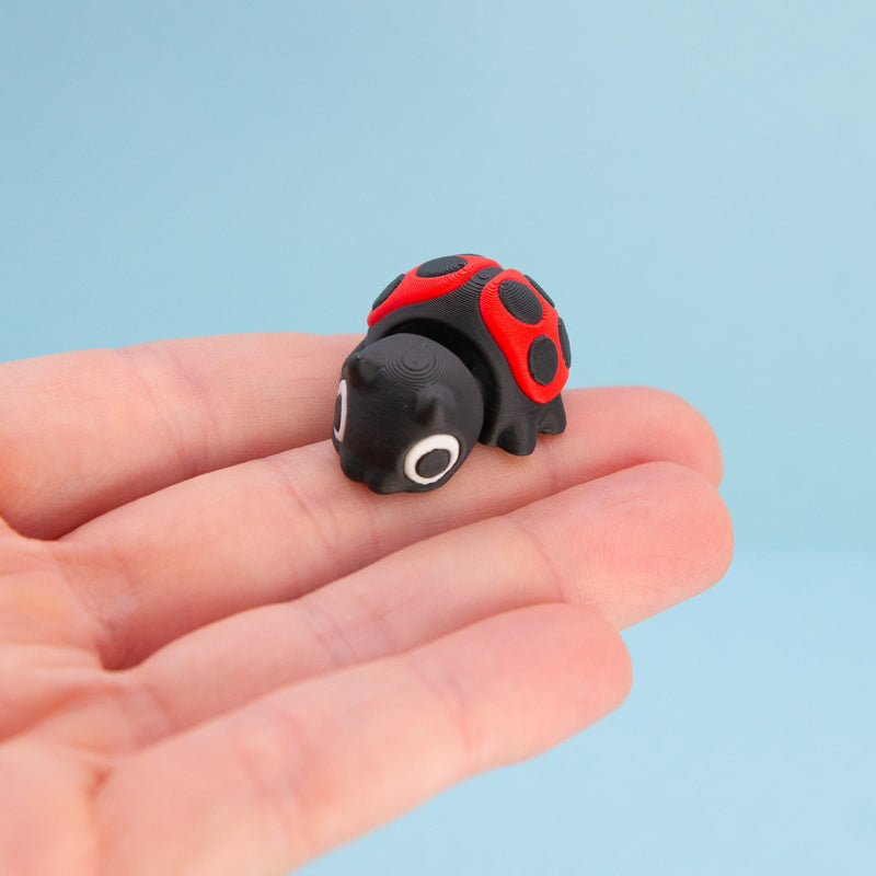 Clover the Ladybug