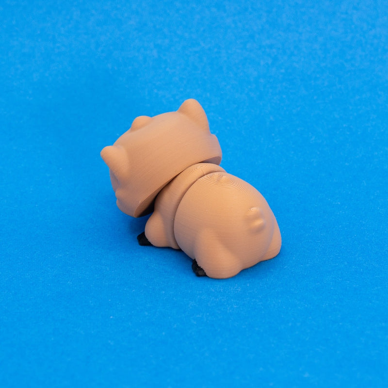 Doug the Wombat