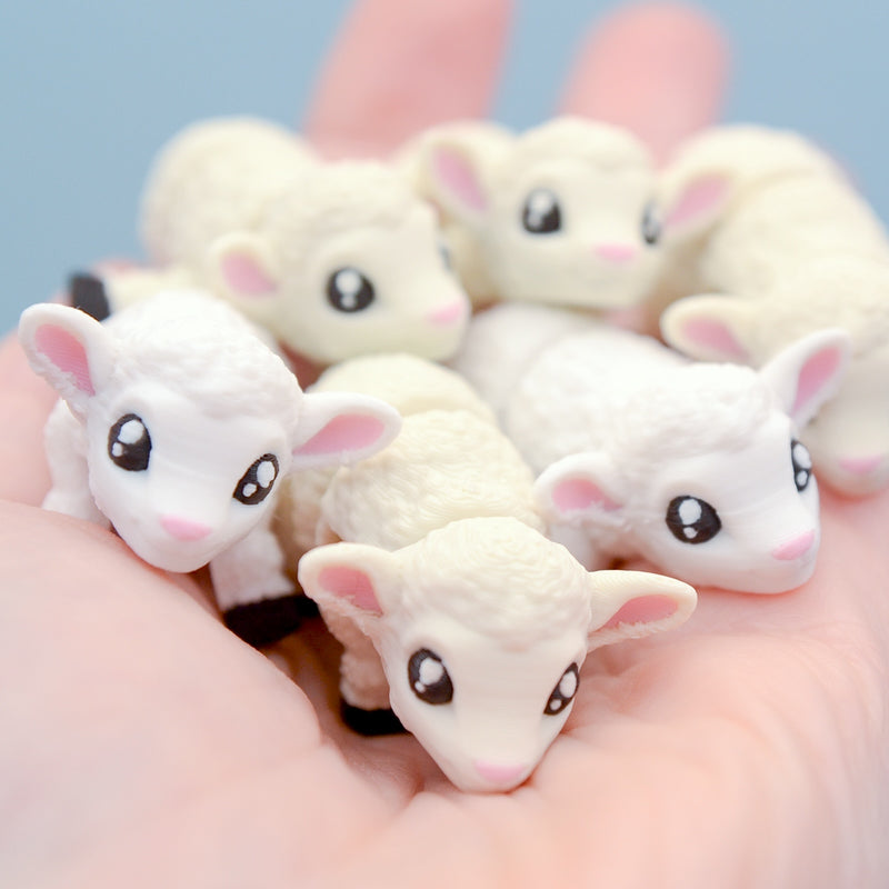 Flossy the Sheep