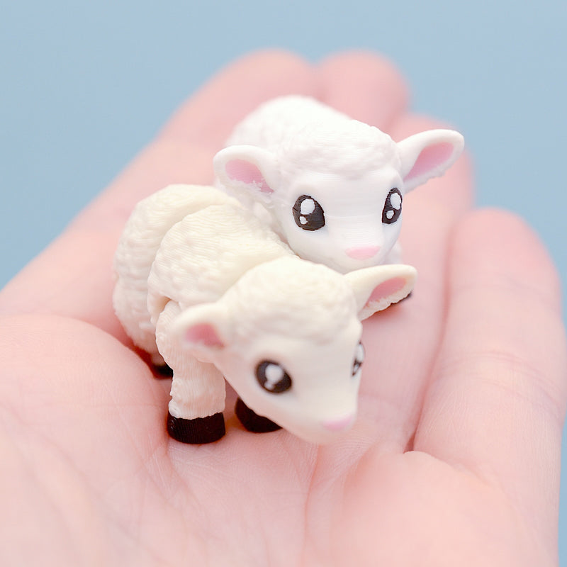 Flossy the Sheep