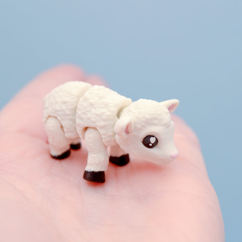 Flossy the Sheep