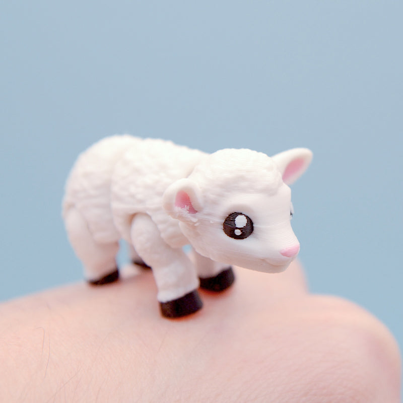 Flossy the Sheep