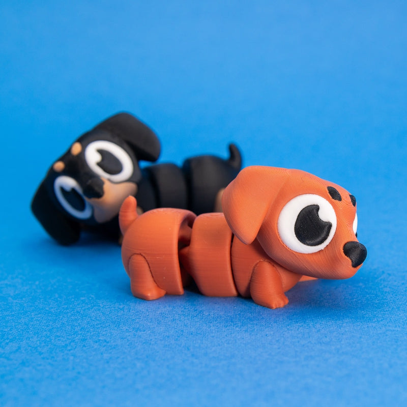 Frankie & Noodle the Dachshunds