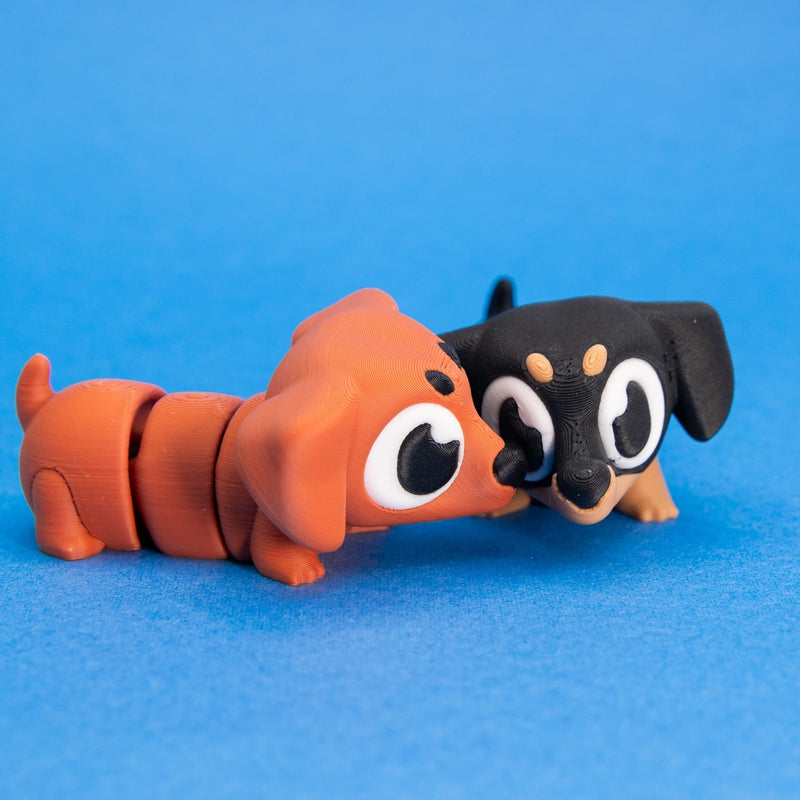 Frankie & Noodle the Dachshunds