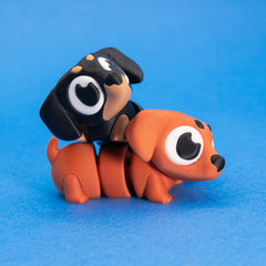 Frankie & Noodle the Dachshunds