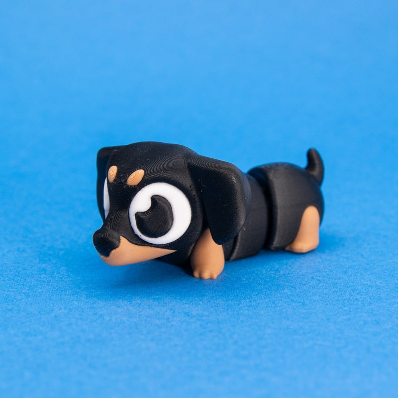 Frankie & Noodle the Dachshunds