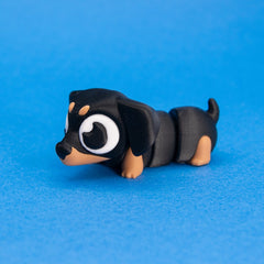 Frankie & Noodle the Dachshunds