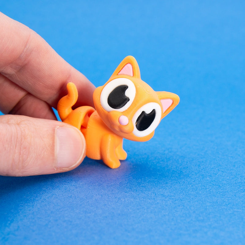 Ginger the Orange Cat
