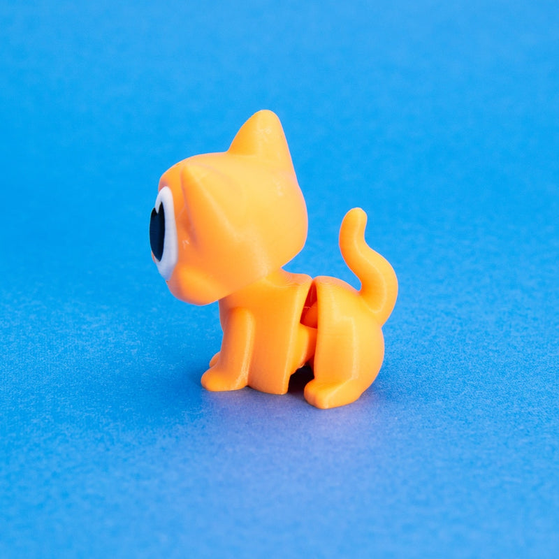 Ginger the Orange Cat
