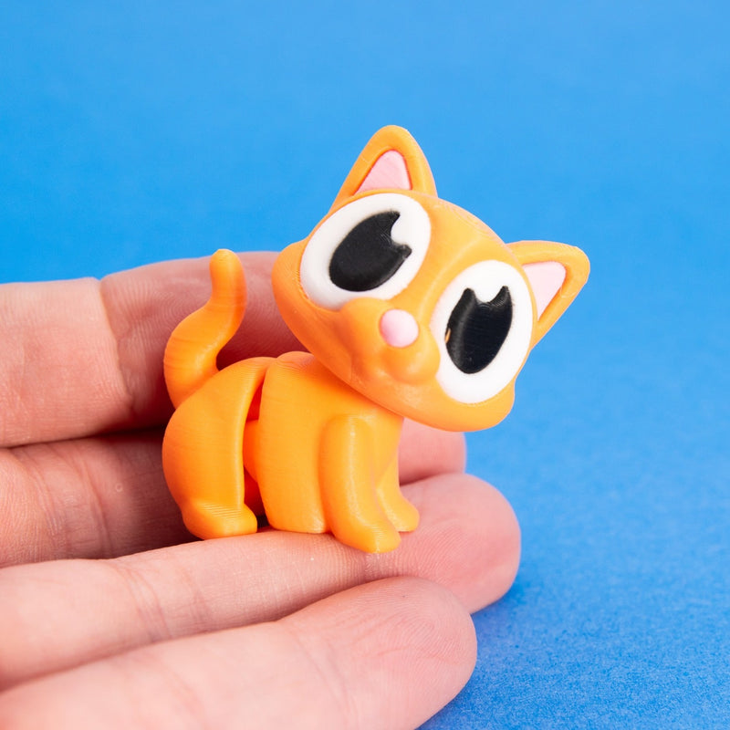 Ginger the Orange Cat