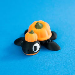 Gourdon pumpkin turtle front view.