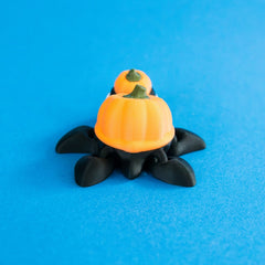 Gourdon pumpkin turtle rear view.