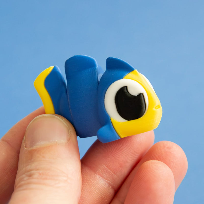 Halo the Angelfish
