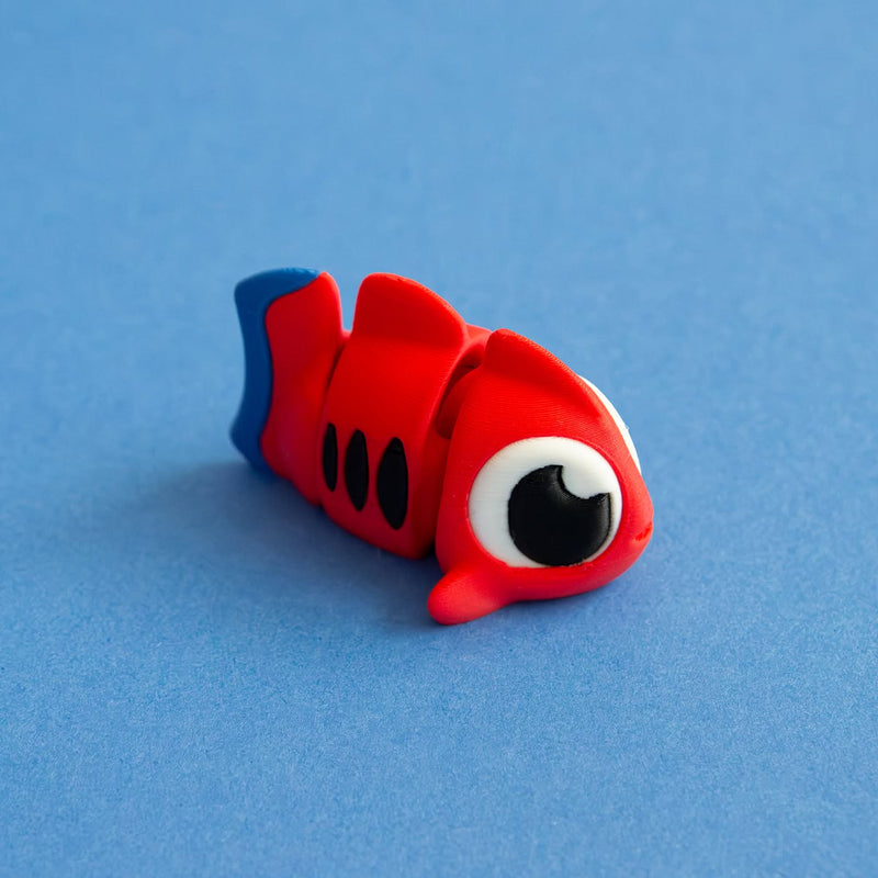 Halo the Angelfish
