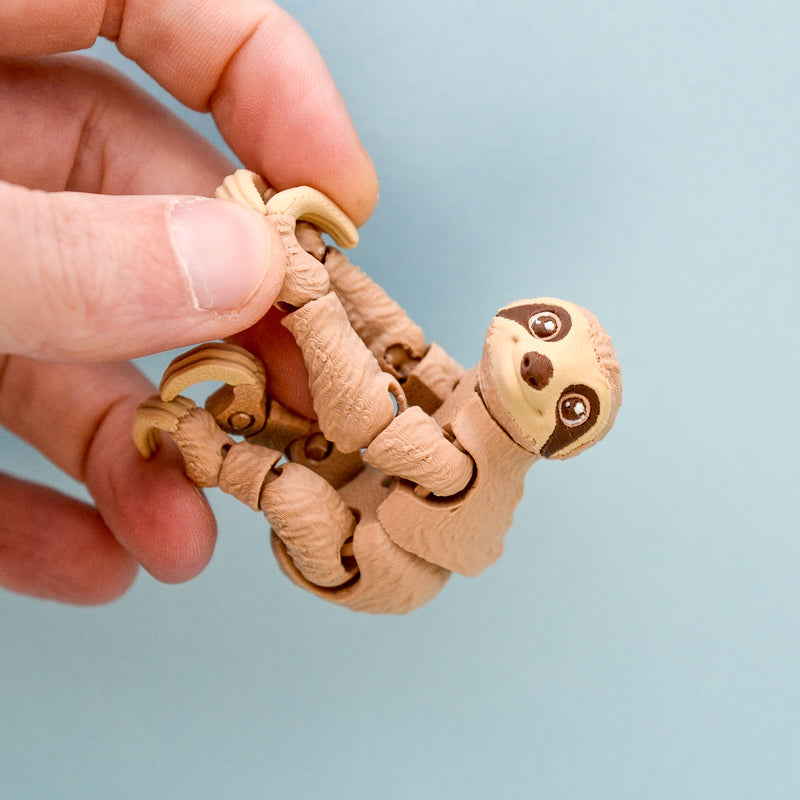 Hugo the Hanging Out Sloth