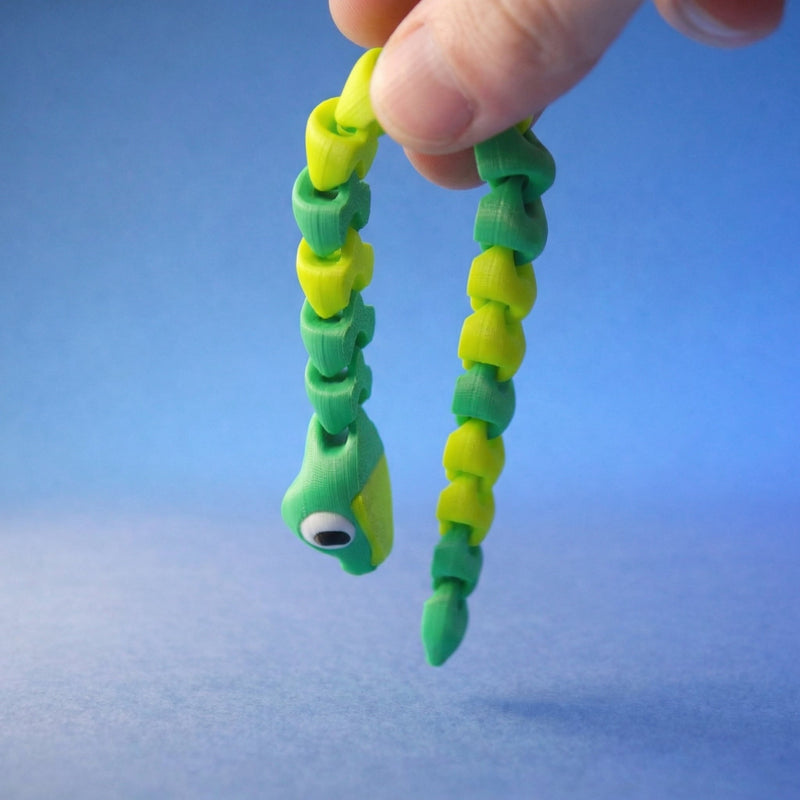 Jade the Snake Hatchling